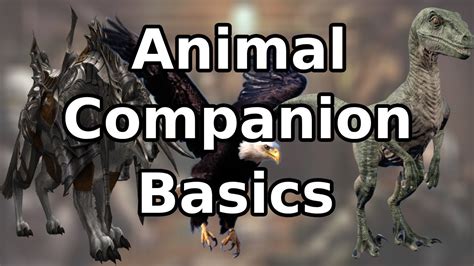 Unleash the Power of Your Animal Companion with These Best Feats for Pathfinder!